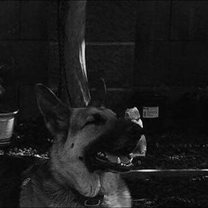 Meet your Posher, Esperanza